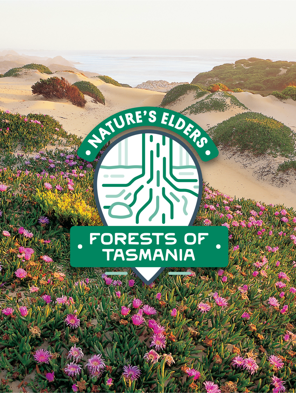 Forest of tasmania logo