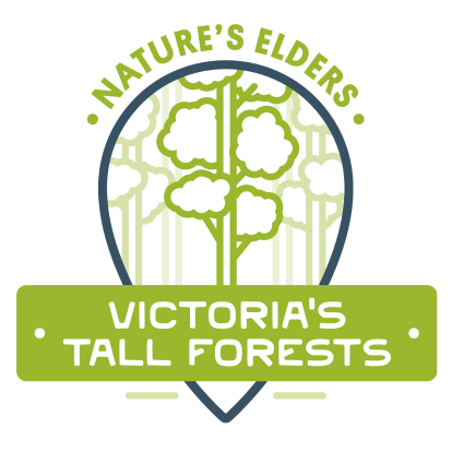 Victorias Tall Forest Logo