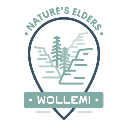 Wollemi Logo